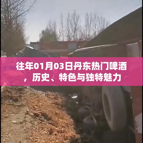 丹东啤酒，历史、特色与独特魅力