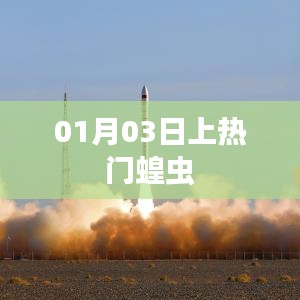 热门蝗虫事件揭秘，01月03日发生了什么？