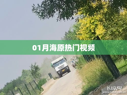 『月海原热门视频大赏』