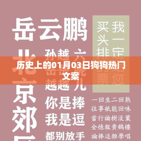 狗狗文化史上的重要日子，一月三日精彩瞬间回顾