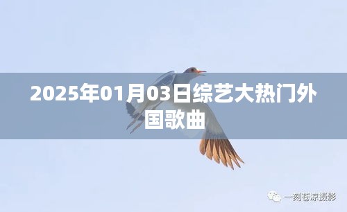综艺大热门的外国歌曲盘点（日期标注）