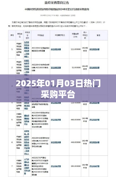 热门采购平台，2025年采购趋势展望