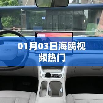 海鸥视频最新热门动态（日期标注）