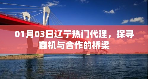 辽宁热门代理，探寻合作商机桥梁