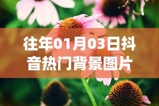 抖音热门花草背景图，自然美与数字世界的融合