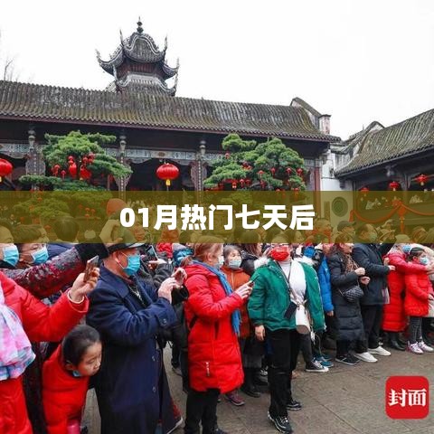 热门七天后，揭秘一月新趋势