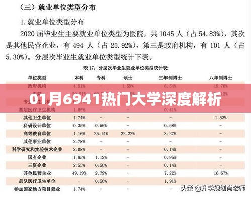 热门大学深度解析，聚焦一月热点大学解读
