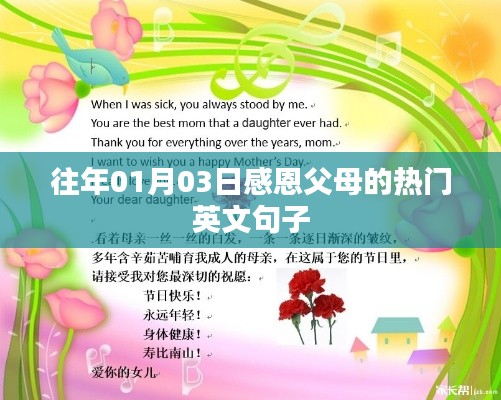 感恩父母永恒情，精选英文句子回顾