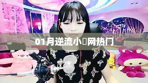 逆流小涚网热门事件回顾与分析