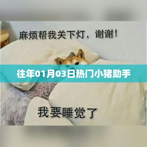 『历年1月3日热门小猪助手事件回顾』