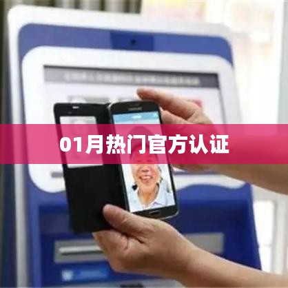 热门官方认证榜单揭晓！