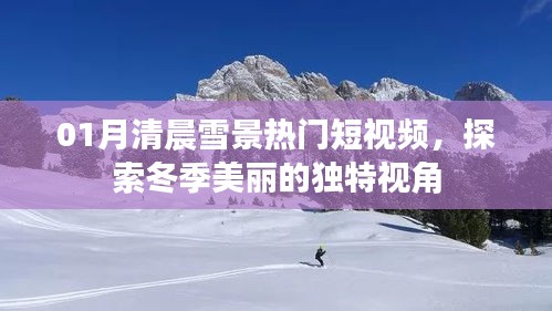 冬季清晨雪景短视频，独特视角探索美丽