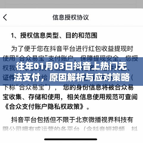抖音支付问题解析，原因及应对策略