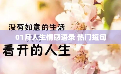 精选人生情感语录，热门短句温暖心灵