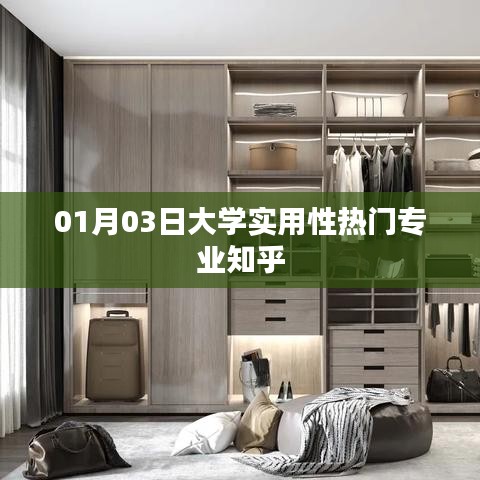 热门实用大学专业大解析，知乎热议榜单