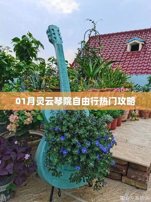 一月灵云琴院自由行，热门攻略大揭秘