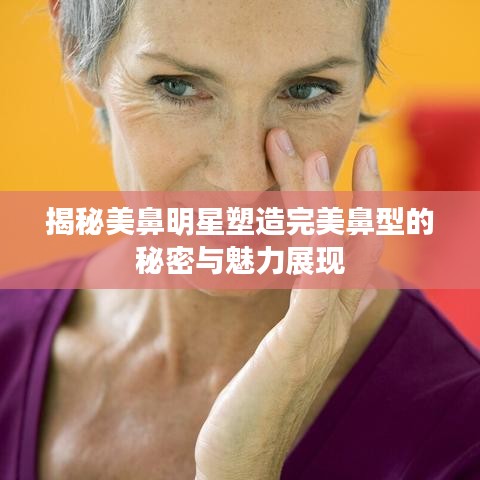 揭秘美鼻明星塑造完美鼻型的秘密与魅力展现