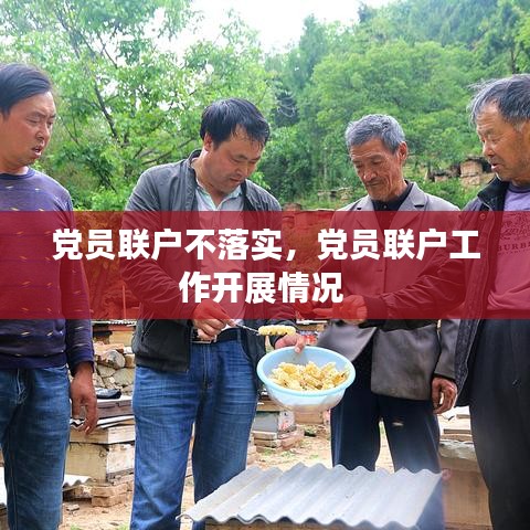 党员联户不落实，党员联户工作开展情况 
