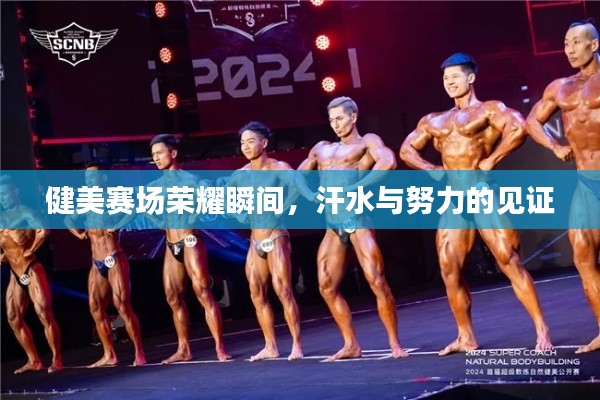 健美赛场荣耀瞬间，汗水与努力的见证