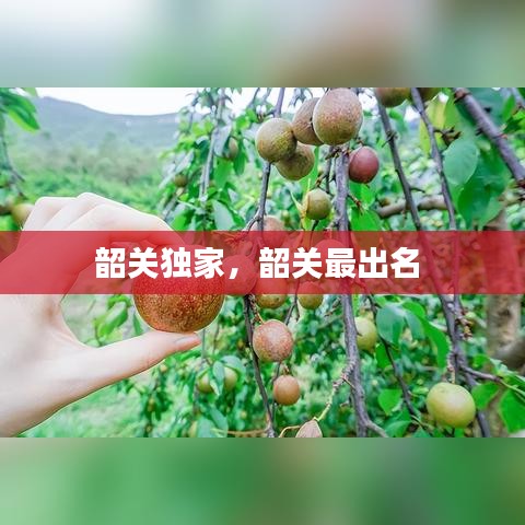 韶关独家，韶关最出名 