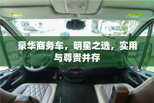 豪华商务车，明星之选，实用与尊贵并存