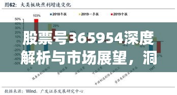 股票号365954深度解析与市场展望，洞悉未来趋势，把握投资机会！