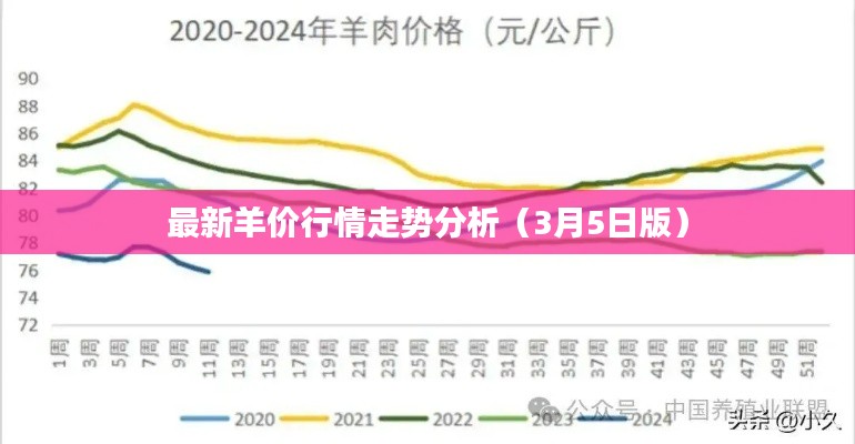 最新羊价行情走势分析（3月5日版）