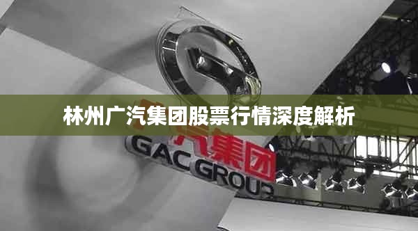 林州广汽集团股票行情深度解析