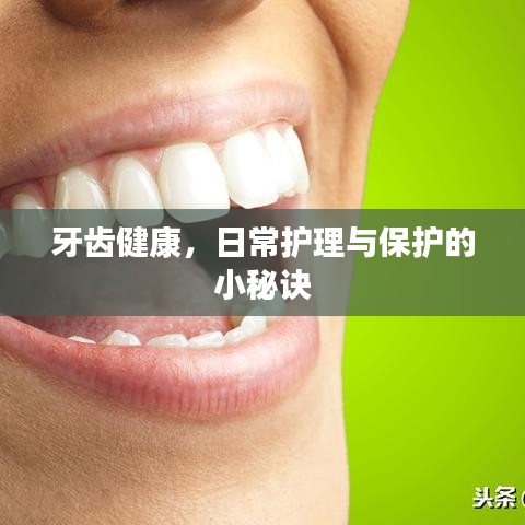 牙齿健康，日常护理与保护的小秘诀