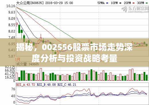 揭秘，002556股票市场走势深度分析与投资战略考量