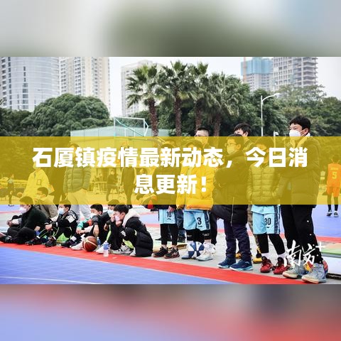 石厦镇疫情最新动态，今日消息更新！