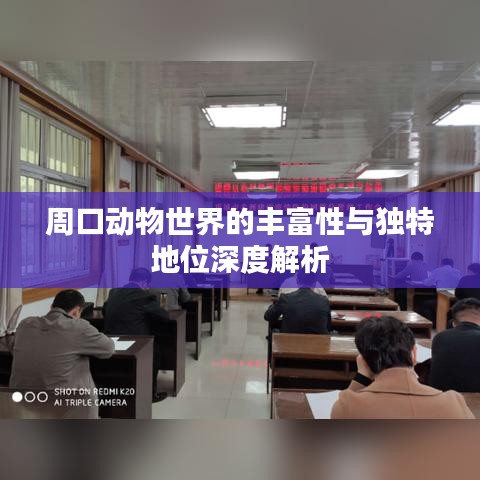 周口动物世界的丰富性与独特地位深度解析