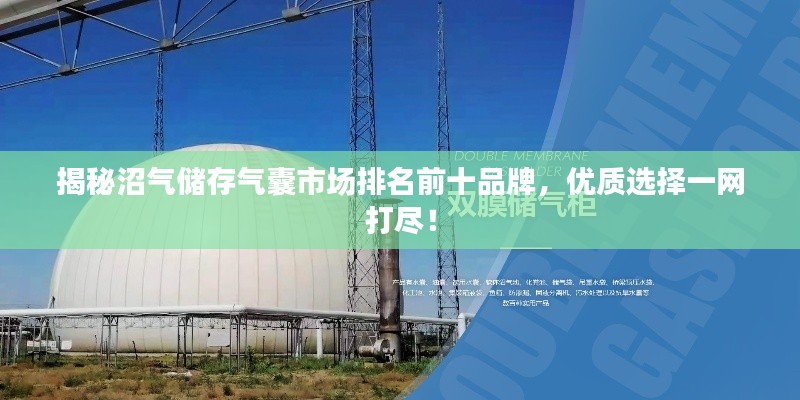揭秘沼气储存气囊市场排名前十品牌，优质选择一网打尽！