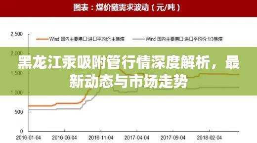 黑龙江汞吸附管行情深度解析，最新动态与市场走势