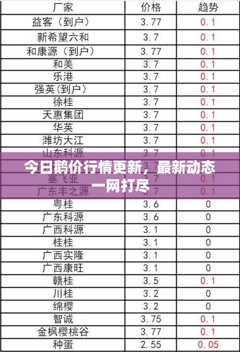 今日鹅价行情更新，最新动态一网打尽