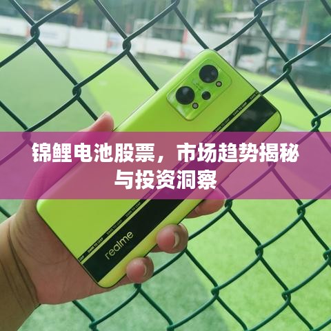 锦鲤电池股票，市场趋势揭秘与投资洞察