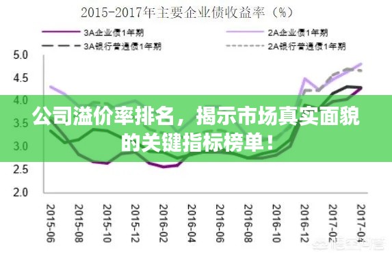 公司溢价率排名，揭示市场真实面貌的关键指标榜单！