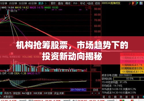 机构抢筹股票，市场趋势下的投资新动向揭秘