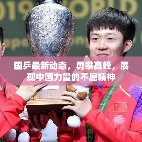 国乒最新动态，勇攀高峰，展现中国力量的不屈精神