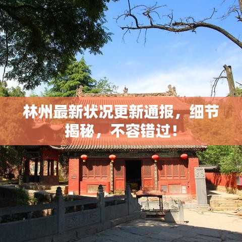 生张熟魏 第2页
