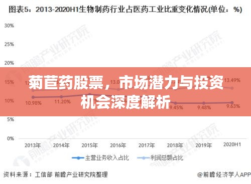 菊苣药股票，市场潜力与投资机会深度解析