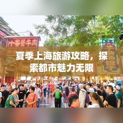 夏季上海旅游攻略，探索都市魅力无限