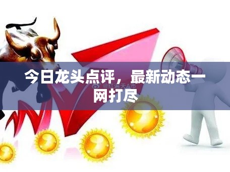 今日龙头点评，最新动态一网打尽