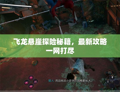飞龙悬崖探险秘籍，最新攻略一网打尽