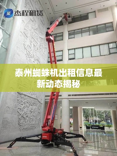 泰州蜘蛛机出租信息最新动态揭秘