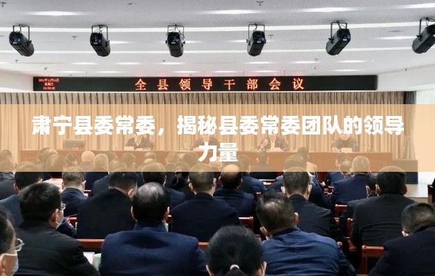 肃宁县委常委，揭秘县委常委团队的领导力量