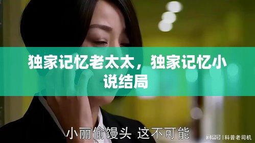 独家记忆老太太，独家记忆小说结局 