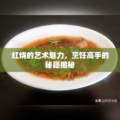 红烧的艺术魅力，烹饪高手的秘籍揭秘