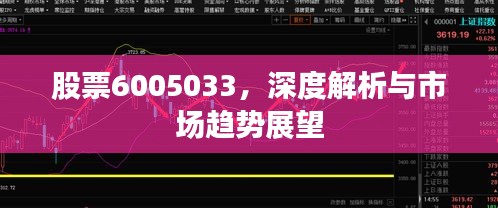 股票6005033，深度解析与市场趋势展望