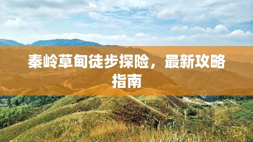 秦岭草甸徒步探险，最新攻略指南